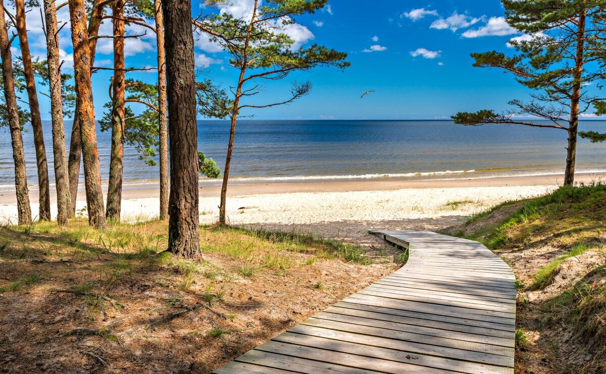 Jūrmala &mdash; pušynas, susitinkantis su baltu kvarciniu Baltijos jūros smėliu, 25 km nuo Rīgos.