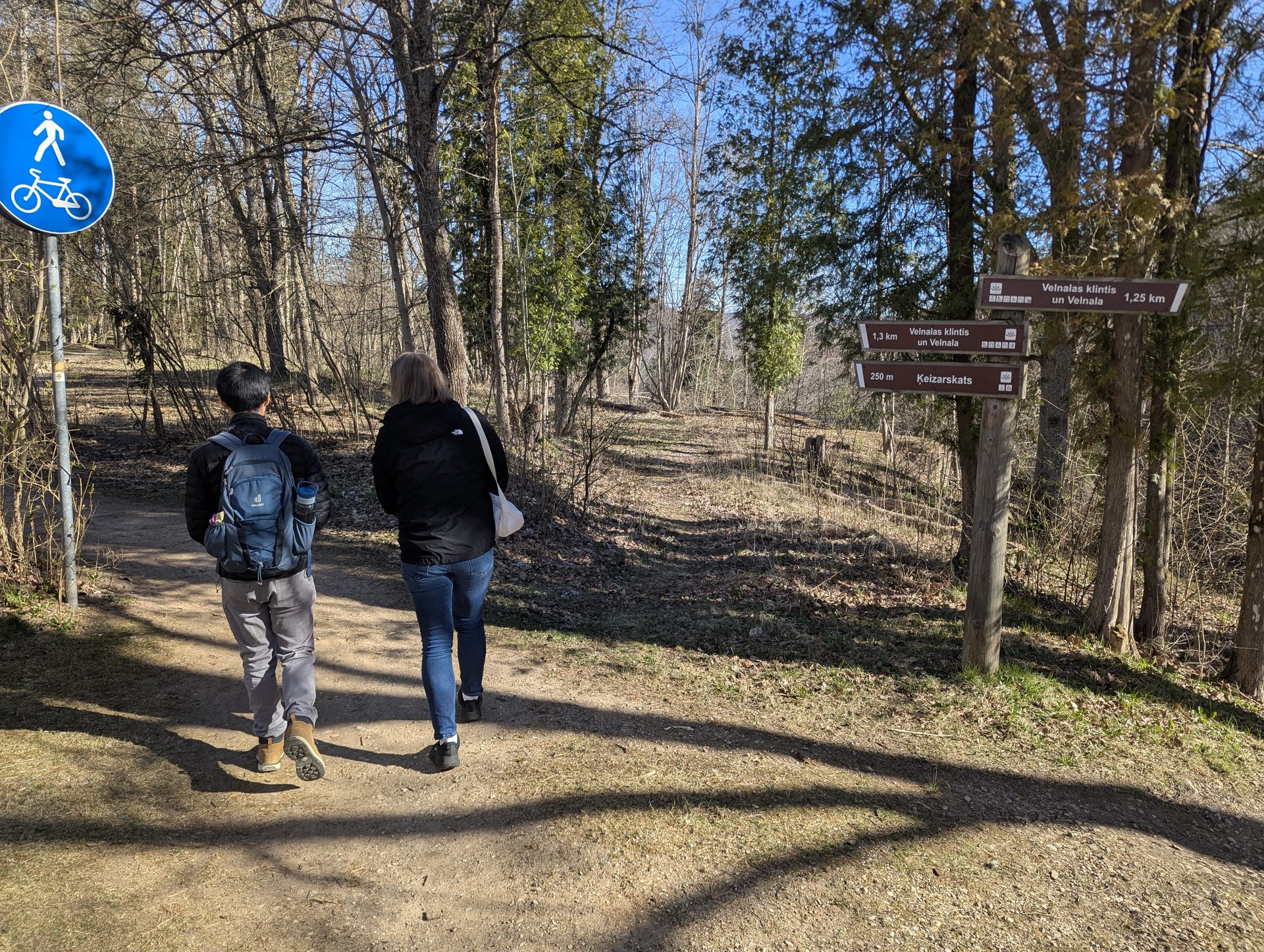 Gaujos slėnio pasivaikščiojimo takai prie Velnu klints (Velnio uolos)