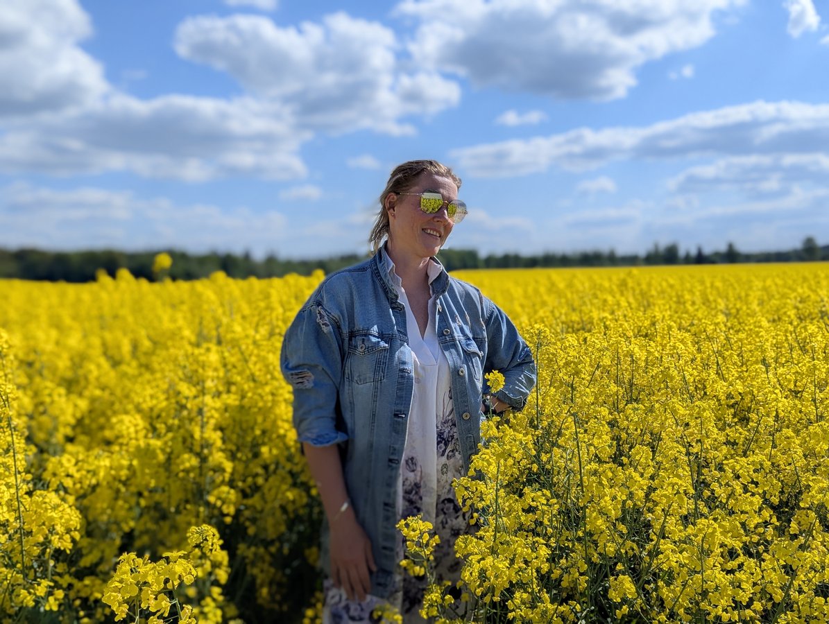 Žydintis rapsų laukas pavasarį, Gaujos slėnis