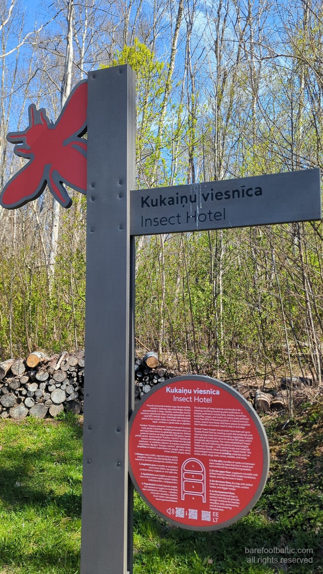 Turaidos Dainų kalnas (Dainu Kalns)