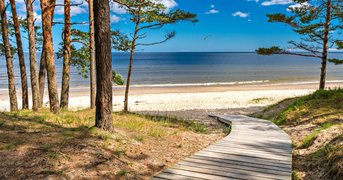 Jūrmala — pušynas, susiliečiantis su baltu kvarciniu Baltijos jūros smėliu, 25 km nuo Rīgos.